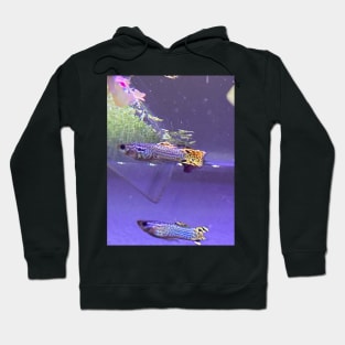 Guppies Hoodie